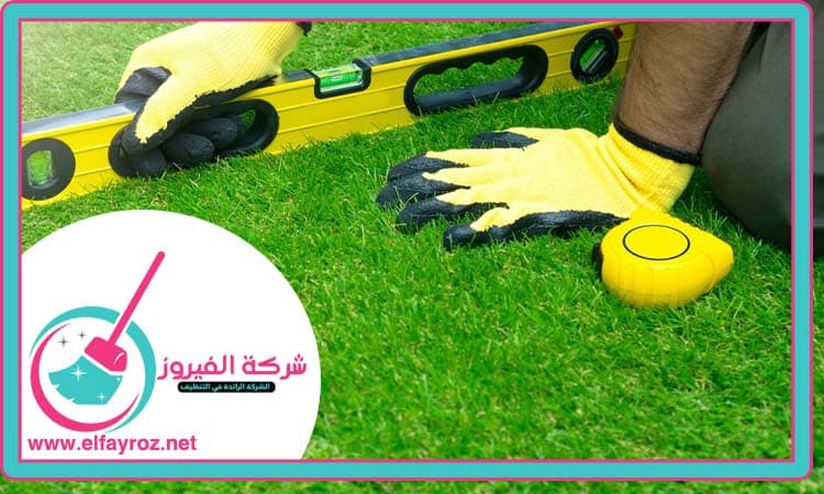 عشب الامارات
